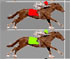 trotting tracks internet horse racing