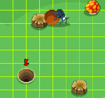 Beetle Run