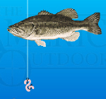 Crappie Fishing