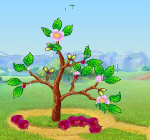 Money Tree
