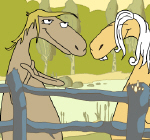 Horse Orchestra
